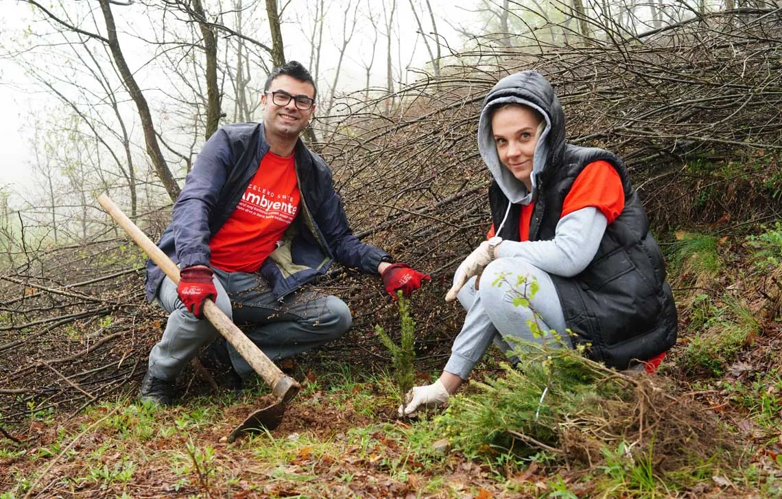 FIS proveo akciju pošumljavanja  „Zeleno srce Ambyente“